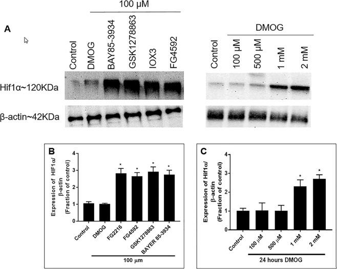 https://cdn.ncbi.nlm.nih.gov/pmc/blobs/7d45/6994562/45afcac5e184/41598_2020_58482_Fig4_HTML.jpg