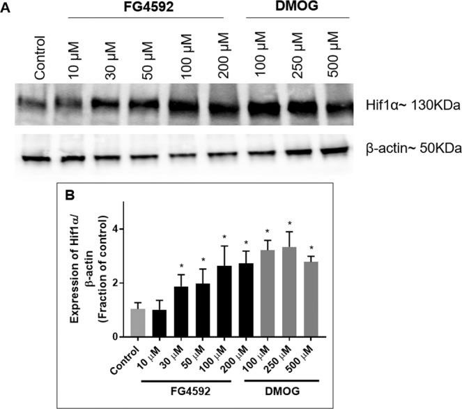 https://cdn.ncbi.nlm.nih.gov/pmc/blobs/7d45/6994562/554624bb92b6/41598_2020_58482_Fig11_HTML.jpg