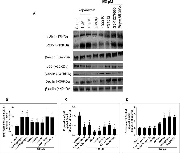 https://cdn.ncbi.nlm.nih.gov/pmc/blobs/7d45/6994562/9d6a0ca4d62a/41598_2020_58482_Fig3_HTML.jpg