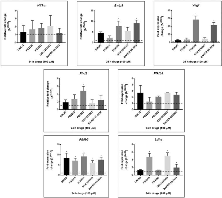 https://cdn.ncbi.nlm.nih.gov/pmc/blobs/7d45/6994562/db1661afe51b/41598_2020_58482_Fig5_HTML.jpg