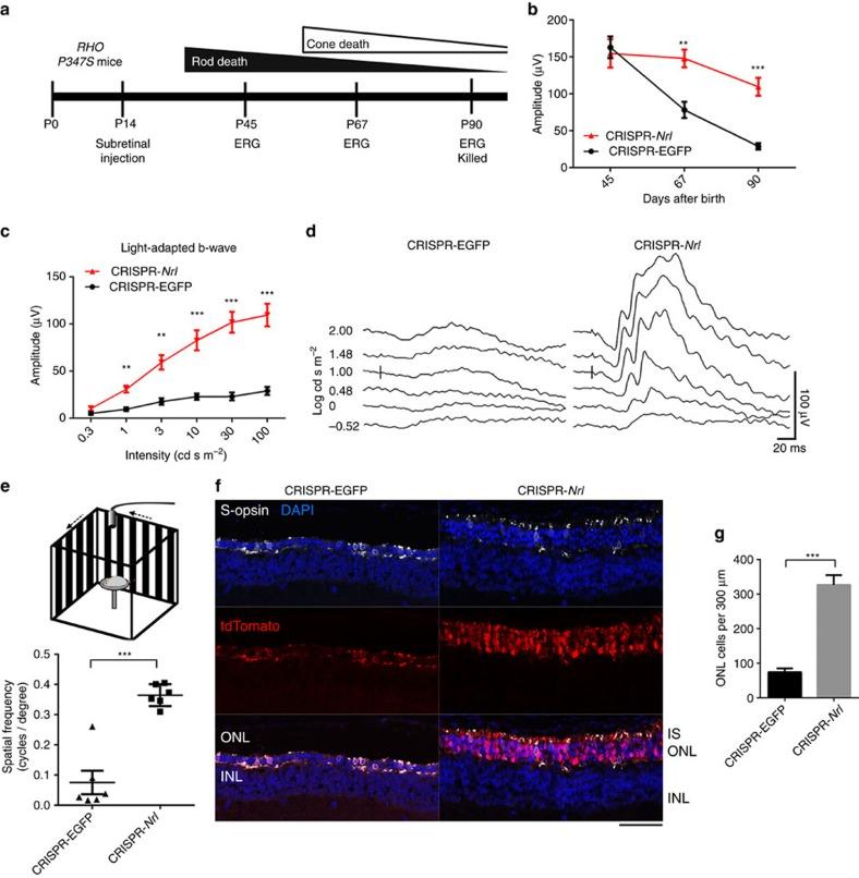 https://cdn.ncbi.nlm.nih.gov/pmc/blobs/7d46/5355895/95ea93c6ba77/ncomms14716-f8.jpg
