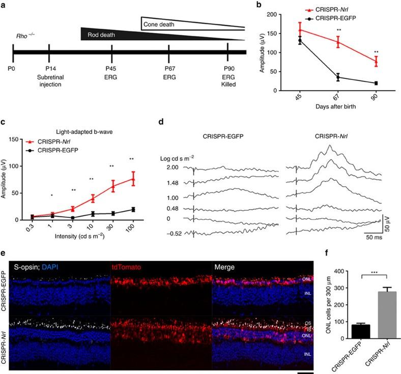 https://cdn.ncbi.nlm.nih.gov/pmc/blobs/7d46/5355895/ec3310b9a53d/ncomms14716-f6.jpg