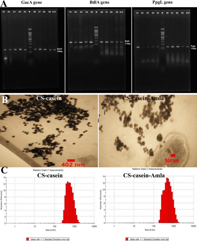 https://cdn.ncbi.nlm.nih.gov/pmc/blobs/7d48/11654202/45858a91101c/12896_2024_907_Fig1_HTML.jpg