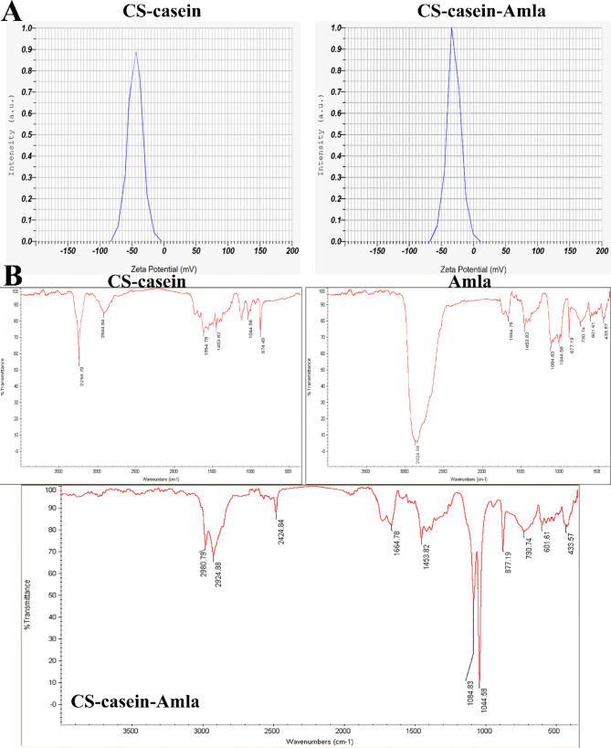https://cdn.ncbi.nlm.nih.gov/pmc/blobs/7d48/11654202/50fee615df9e/12896_2024_907_Fig2_HTML.jpg