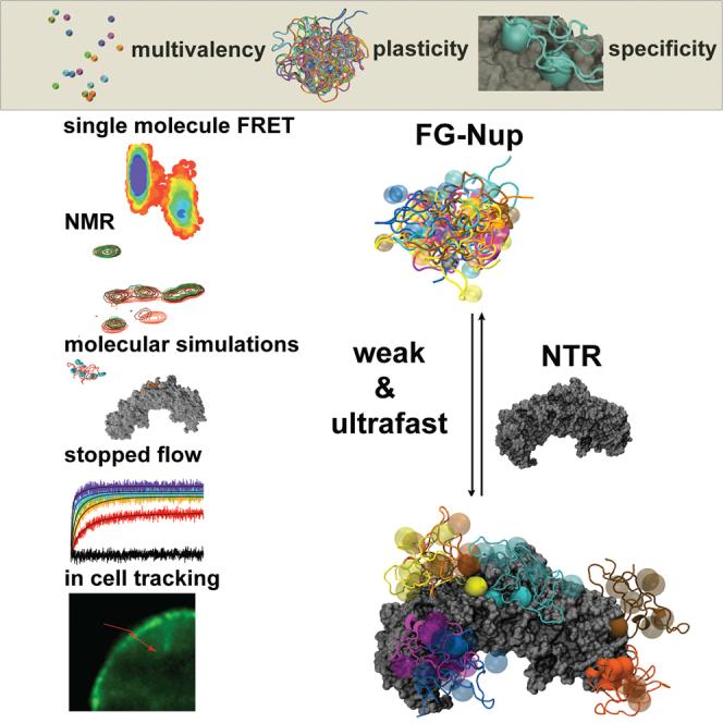 https://cdn.ncbi.nlm.nih.gov/pmc/blobs/7d49/4622936/851ada882989/fx1.jpg