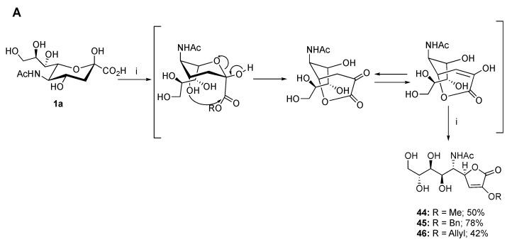 https://cdn.ncbi.nlm.nih.gov/pmc/blobs/7d4a/7663150/09a92fc49f4f/ijms-21-08098-sch011a.jpg
