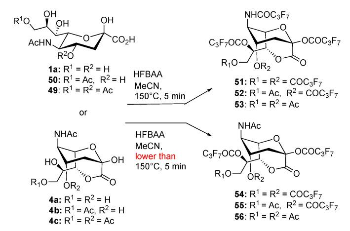 https://cdn.ncbi.nlm.nih.gov/pmc/blobs/7d4a/7663150/8d0e5b197902/ijms-21-08098-sch018.jpg