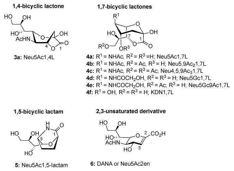 https://cdn.ncbi.nlm.nih.gov/pmc/blobs/7d4a/7663150/d4ab44114f03/ijms-21-08098-g002.jpg