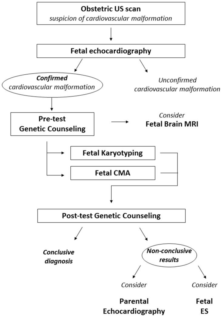 https://cdn.ncbi.nlm.nih.gov/pmc/blobs/7d4b/9221891/9336b4a7c2fc/diagnostics-12-01328-g002.jpg