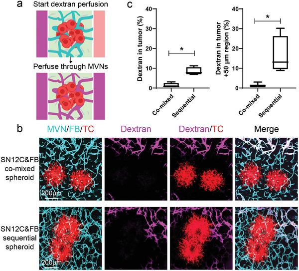https://cdn.ncbi.nlm.nih.gov/pmc/blobs/7d4c/11468685/29e37087bc26/ADHM-12-2201784-g007.jpg
