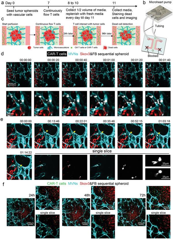 https://cdn.ncbi.nlm.nih.gov/pmc/blobs/7d4c/11468685/afa5c78b2be3/ADHM-12-2201784-g002.jpg
