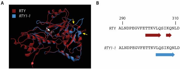 https://cdn.ncbi.nlm.nih.gov/pmc/blobs/7d4c/7923163/d1c04cfffbe7/ijms-22-02040-g002.jpg