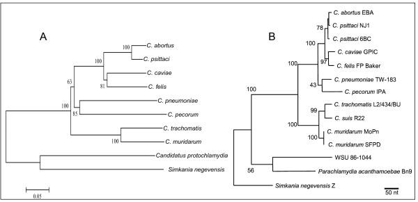 https://cdn.ncbi.nlm.nih.gov/pmc/blobs/7d4d/2268939/f9fafa14aab7/1471-2180-8-42-5.jpg