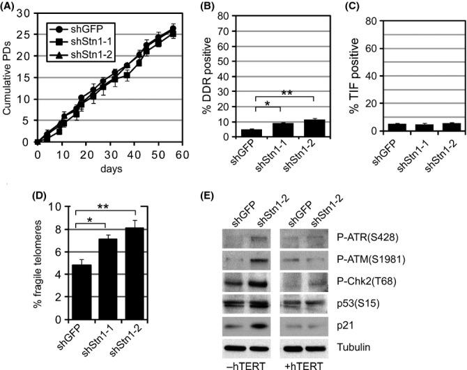 https://cdn.ncbi.nlm.nih.gov/pmc/blobs/7d4d/4406666/0f8e7a17a6fd/acel0014-0372-f5.jpg
