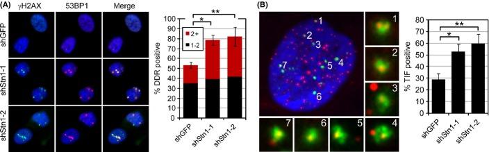 https://cdn.ncbi.nlm.nih.gov/pmc/blobs/7d4d/4406666/5e4d355865d7/acel0014-0372-f2.jpg