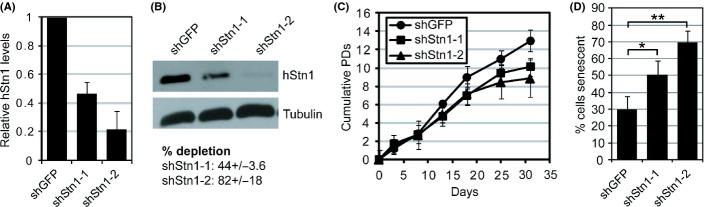 https://cdn.ncbi.nlm.nih.gov/pmc/blobs/7d4d/4406666/bf7f147b1cca/acel0014-0372-f1.jpg