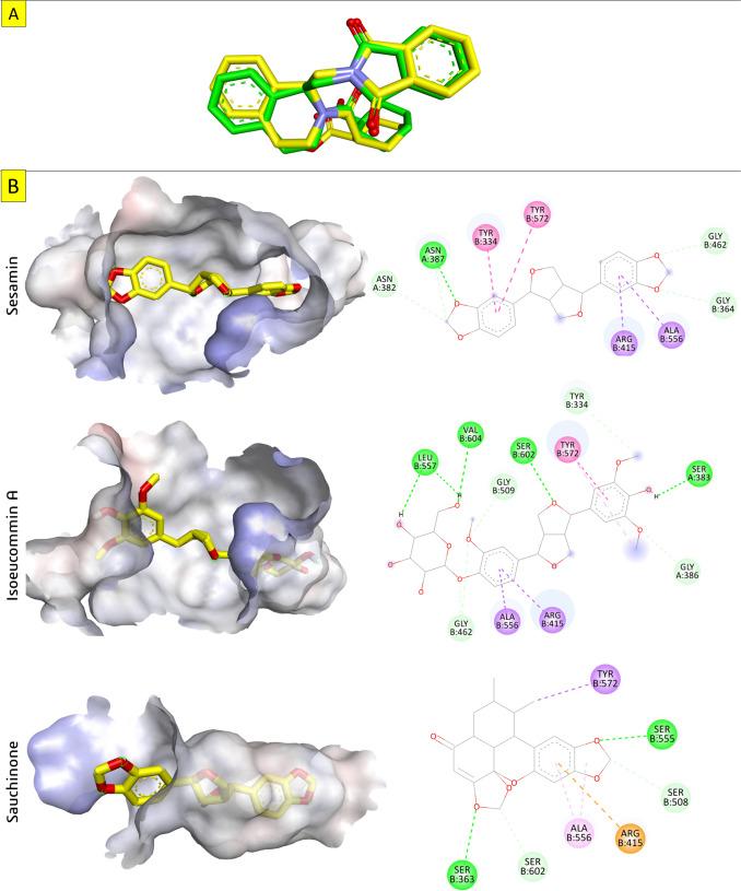 https://cdn.ncbi.nlm.nih.gov/pmc/blobs/7d50/11422461/0c23151ae7d2/210_2024_3102_Fig4_HTML.jpg