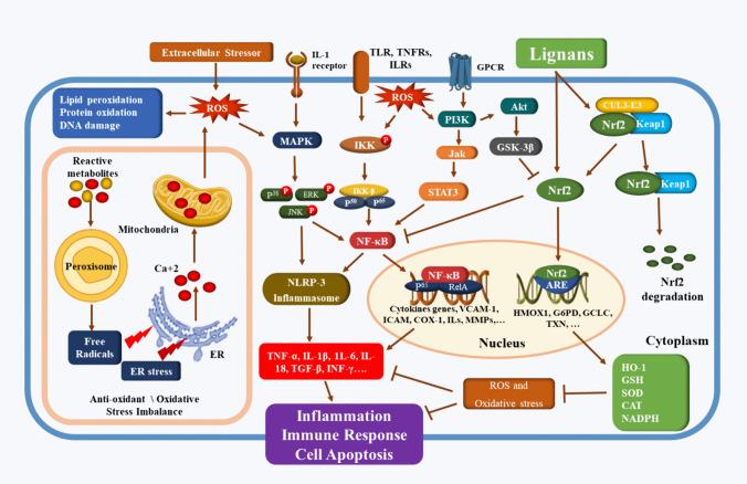https://cdn.ncbi.nlm.nih.gov/pmc/blobs/7d50/11422461/6f6fe26f7b6e/210_2024_3102_Fig2_HTML.jpg