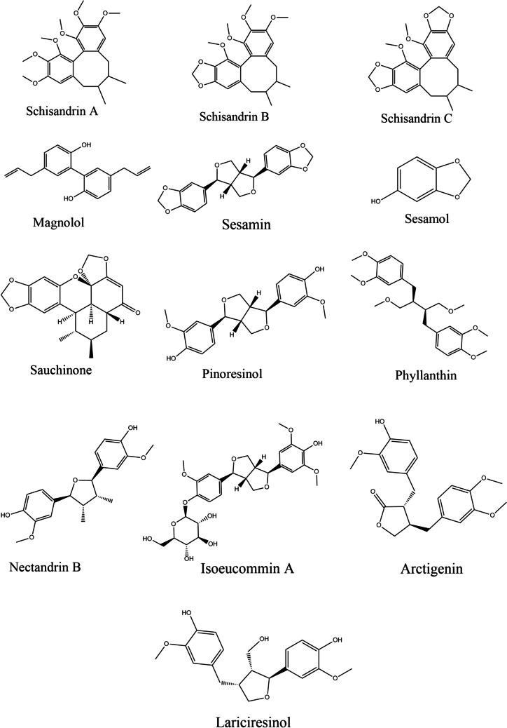 https://cdn.ncbi.nlm.nih.gov/pmc/blobs/7d50/11422461/ebb618961c89/210_2024_3102_Fig3_HTML.jpg