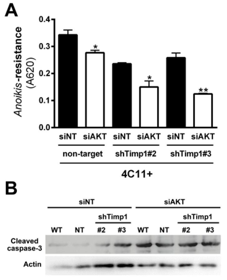 https://cdn.ncbi.nlm.nih.gov/pmc/blobs/7d51/5406712/c45ed44083e8/cancers-09-00037-g006.jpg