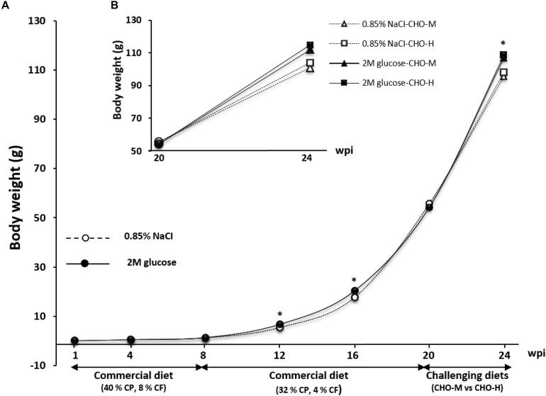 https://cdn.ncbi.nlm.nih.gov/pmc/blobs/7d52/7181793/87c4eff52c63/fphys-11-00286-g003.jpg
