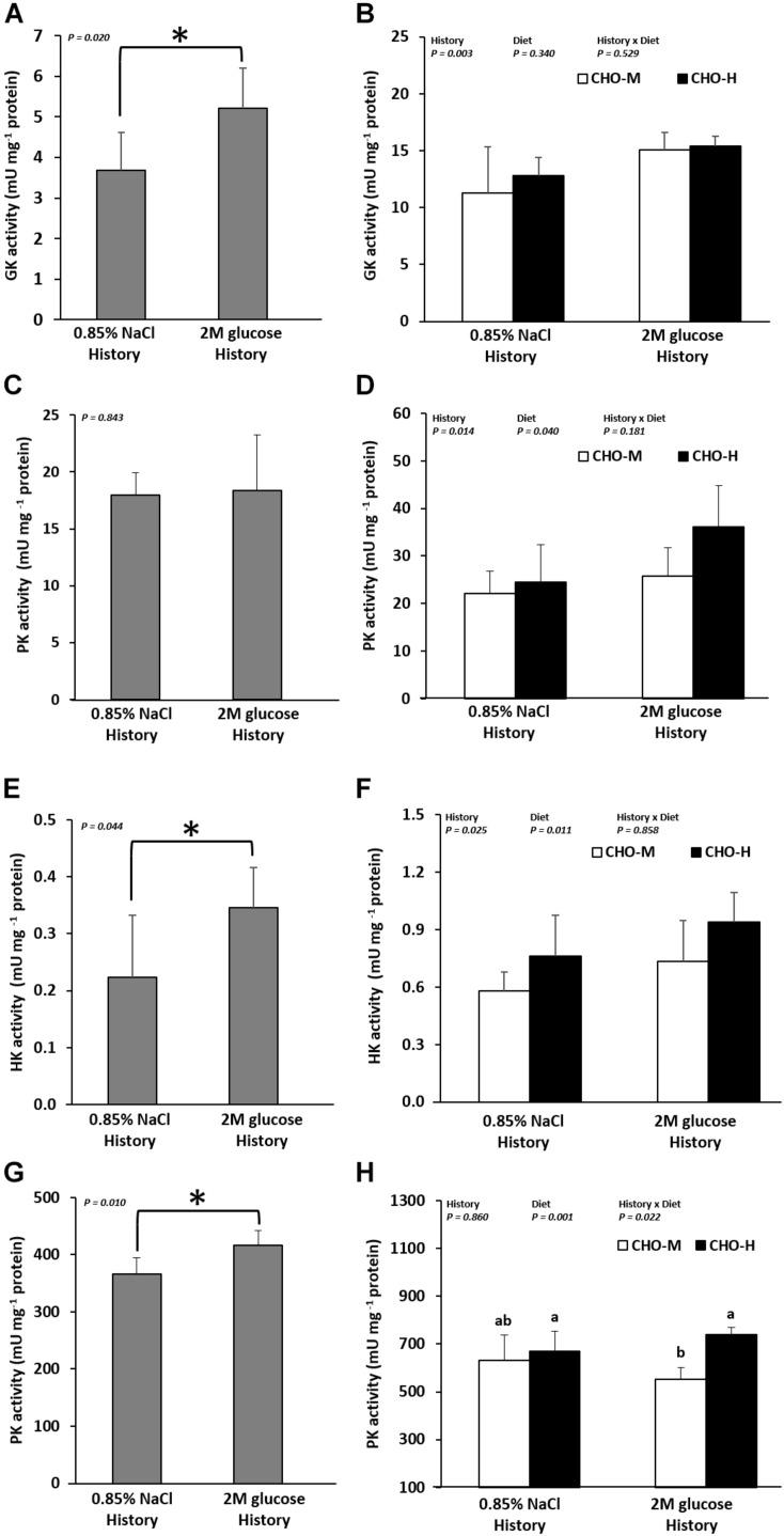 https://cdn.ncbi.nlm.nih.gov/pmc/blobs/7d52/7181793/cd67886c39a7/fphys-11-00286-g004.jpg