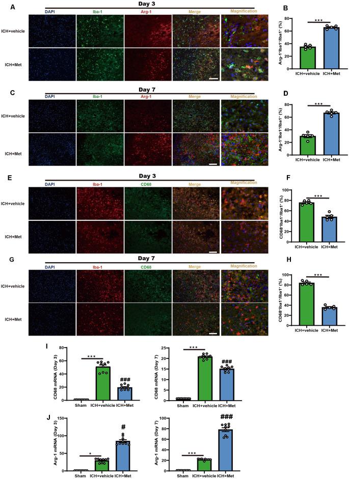 https://cdn.ncbi.nlm.nih.gov/pmc/blobs/7d52/8806158/0b222fd9fdda/fncel-15-789471-g001.jpg