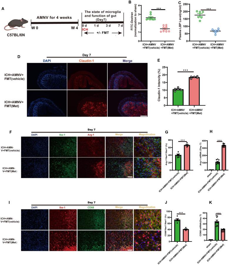 https://cdn.ncbi.nlm.nih.gov/pmc/blobs/7d52/8806158/513f9518be51/fncel-15-789471-g007.jpg