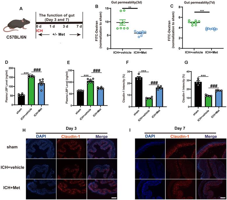 https://cdn.ncbi.nlm.nih.gov/pmc/blobs/7d52/8806158/57db122c18bb/fncel-15-789471-g004.jpg