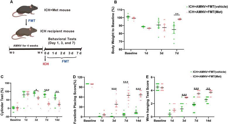 https://cdn.ncbi.nlm.nih.gov/pmc/blobs/7d52/8806158/7ea15ae05a1b/fncel-15-789471-g006.jpg