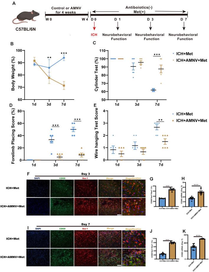 https://cdn.ncbi.nlm.nih.gov/pmc/blobs/7d52/8806158/cacc54deff59/fncel-15-789471-g005.jpg