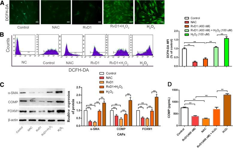 https://cdn.ncbi.nlm.nih.gov/pmc/blobs/7d58/6472102/1a72239d94db/13046_2019_1163_Fig6_HTML.jpg