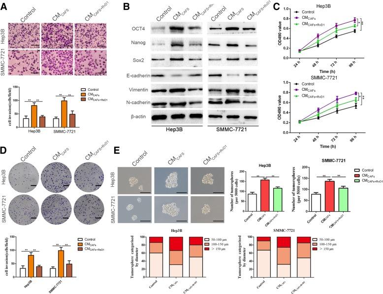https://cdn.ncbi.nlm.nih.gov/pmc/blobs/7d58/6472102/4115b35db2d5/13046_2019_1163_Fig1_HTML.jpg