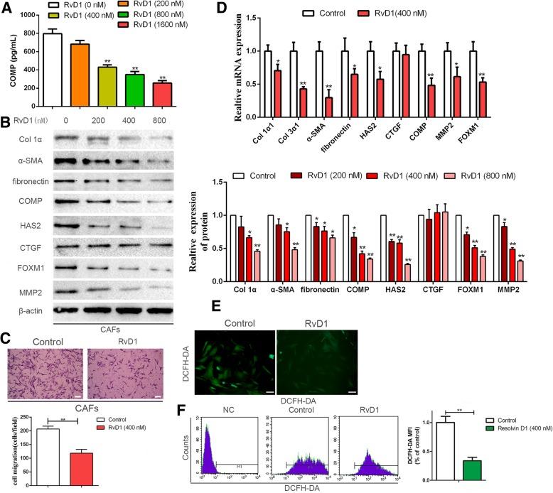 https://cdn.ncbi.nlm.nih.gov/pmc/blobs/7d58/6472102/959fd4acb35a/13046_2019_1163_Fig3_HTML.jpg