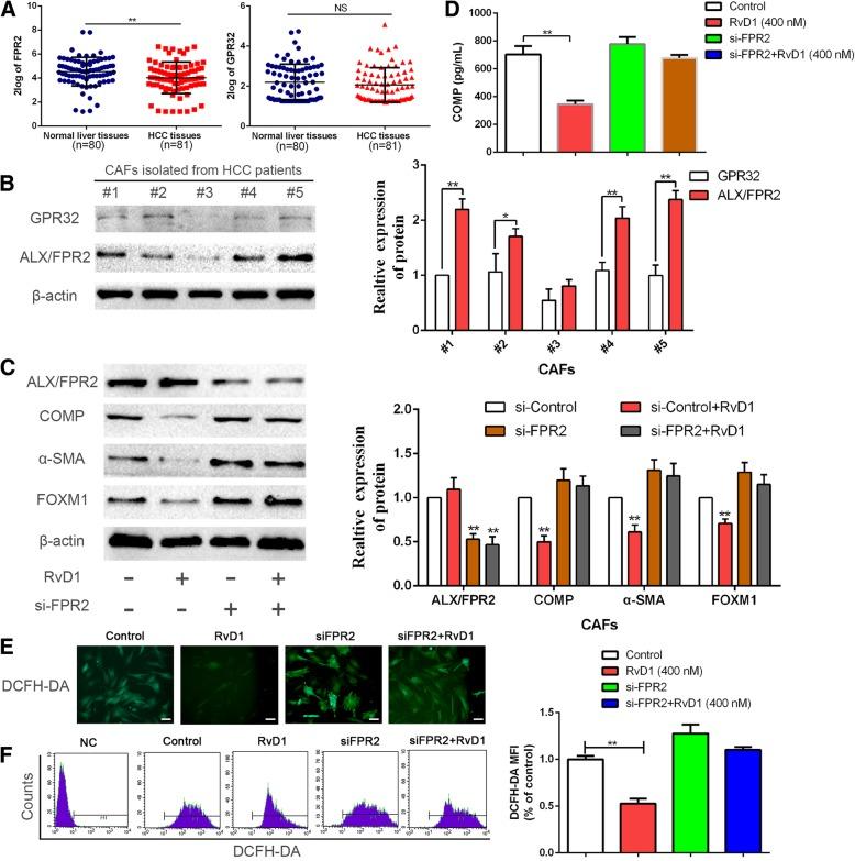 https://cdn.ncbi.nlm.nih.gov/pmc/blobs/7d58/6472102/b2166ee3a32b/13046_2019_1163_Fig5_HTML.jpg
