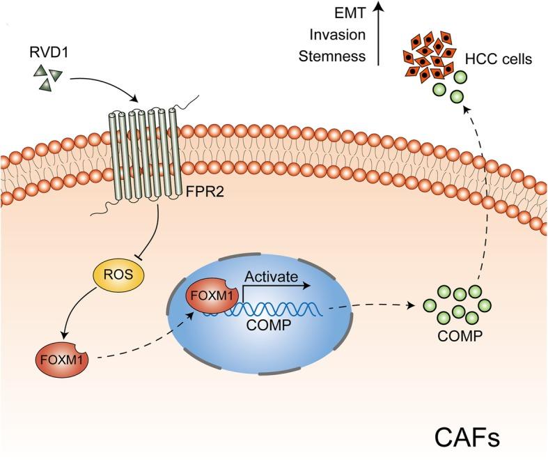 https://cdn.ncbi.nlm.nih.gov/pmc/blobs/7d58/6472102/ca3face5a4aa/13046_2019_1163_Fig8_HTML.jpg