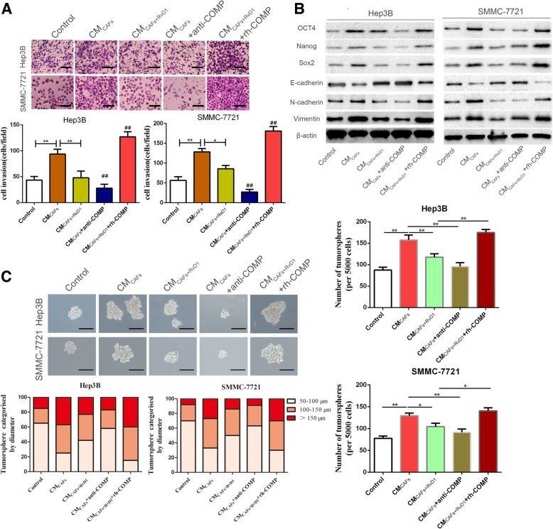 https://cdn.ncbi.nlm.nih.gov/pmc/blobs/7d58/6472102/d04934028b2d/13046_2019_1163_Fig4_HTML.jpg