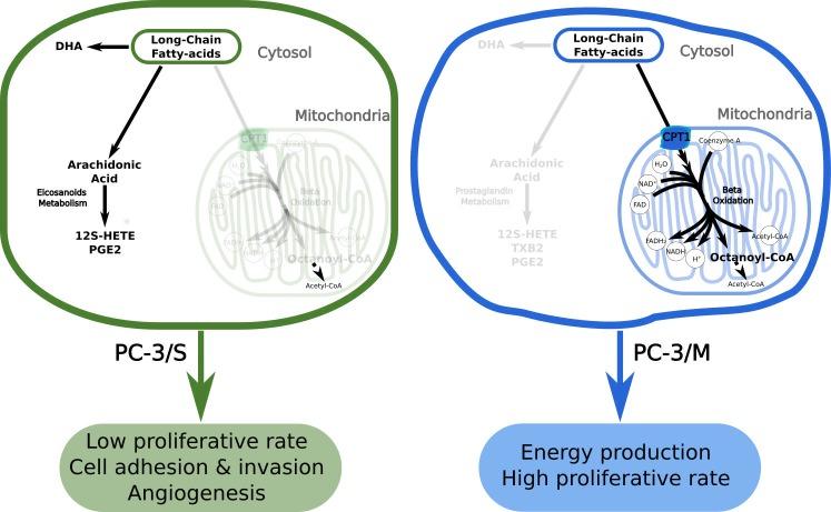 https://cdn.ncbi.nlm.nih.gov/pmc/blobs/7d59/5766231/16a4fe5281fc/pcbi.1005914.g004.jpg