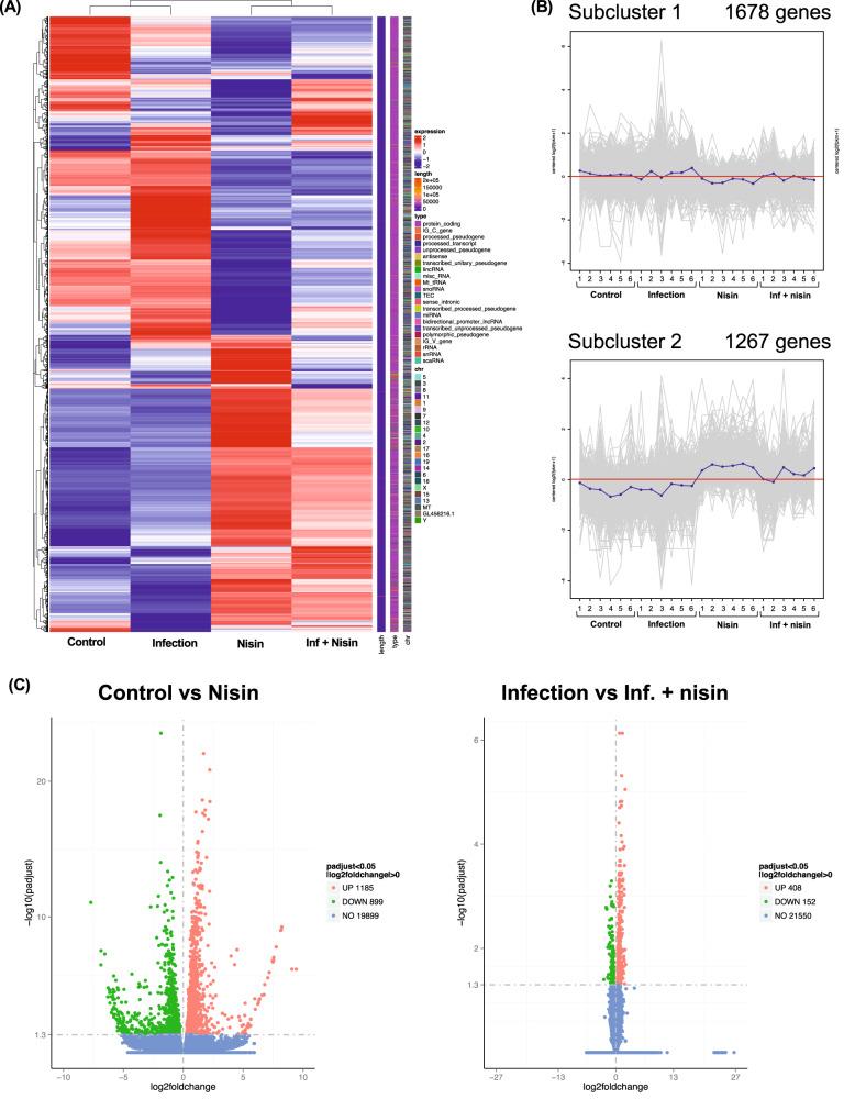 https://cdn.ncbi.nlm.nih.gov/pmc/blobs/7d5b/10794237/37b1c074f04d/41522_2024_476_Fig8_HTML.jpg
