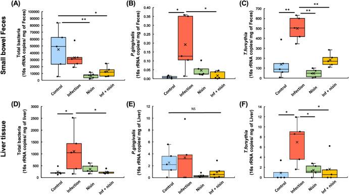 https://cdn.ncbi.nlm.nih.gov/pmc/blobs/7d5b/10794237/58e69459410a/41522_2024_476_Fig6_HTML.jpg