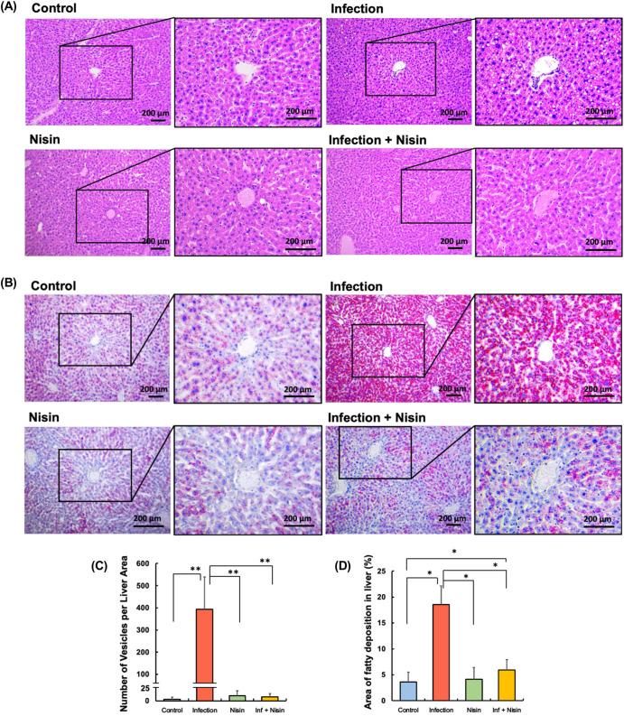 https://cdn.ncbi.nlm.nih.gov/pmc/blobs/7d5b/10794237/5a3e79f1a99c/41522_2024_476_Fig7_HTML.jpg