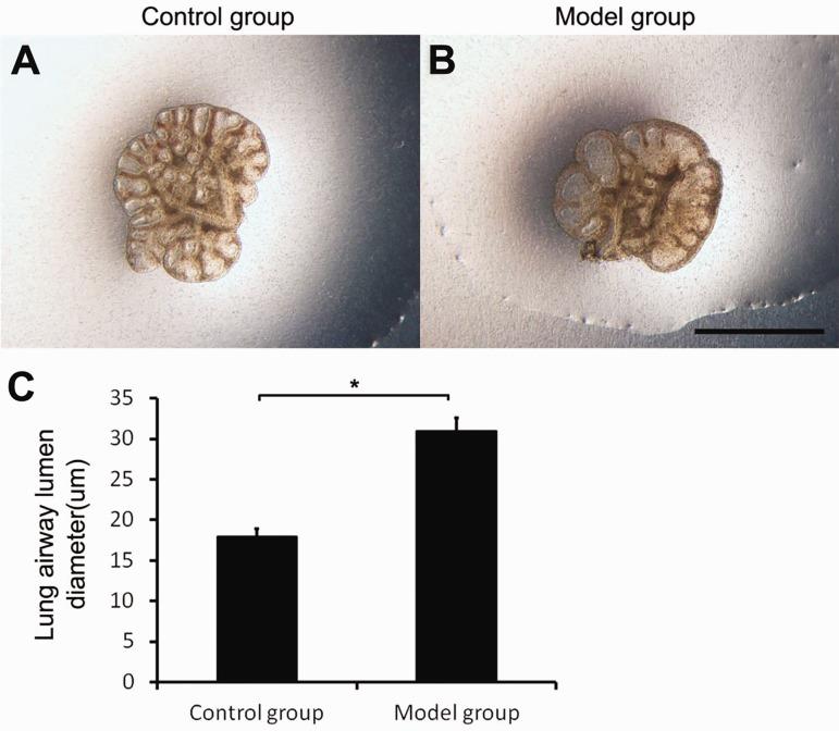 https://cdn.ncbi.nlm.nih.gov/pmc/blobs/7d5b/6124288/2841d88762a0/10.1177_0300060518774998-fig2.jpg
