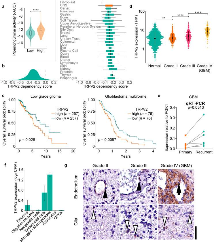 https://cdn.ncbi.nlm.nih.gov/pmc/blobs/7d5c/8161495/ed798b13dead/oc1c00070_0004.jpg
