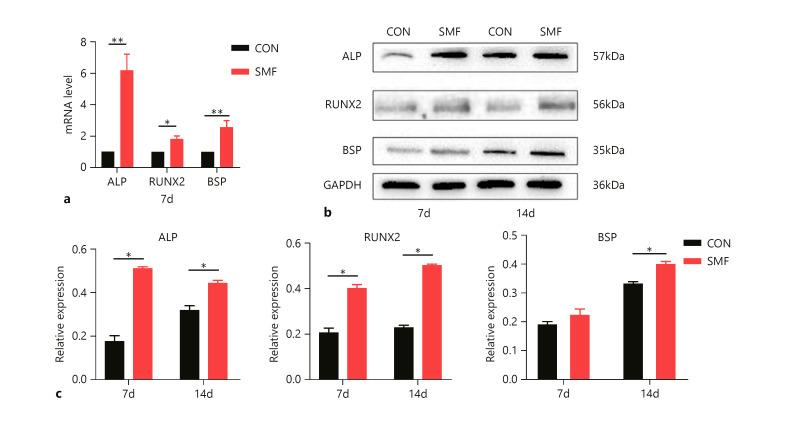 https://cdn.ncbi.nlm.nih.gov/pmc/blobs/7d5e/10534995/006ce5169249/cto-0212-0317-g04.jpg