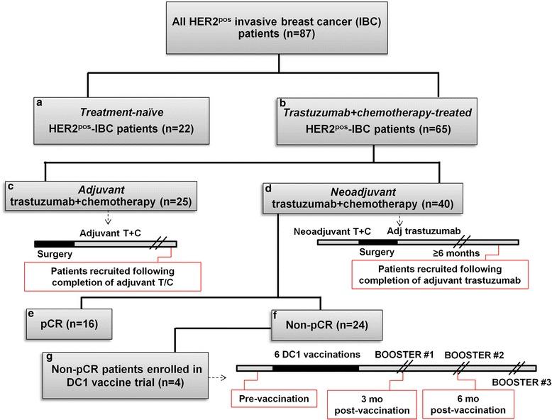 https://cdn.ncbi.nlm.nih.gov/pmc/blobs/7d5f/4488128/8099c4cee3a6/13058_2015_584_Fig1_HTML.jpg