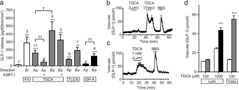 https://cdn.ncbi.nlm.nih.gov/pmc/blobs/7d5f/4606749/3c518bcecc92/zee9991581870004.jpg