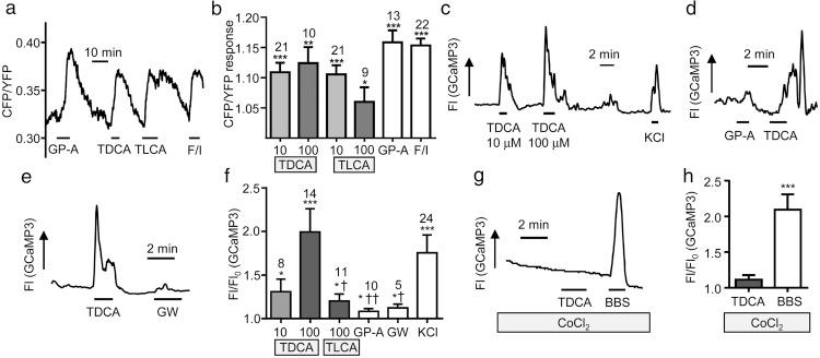 https://cdn.ncbi.nlm.nih.gov/pmc/blobs/7d5f/4606749/e4f05f96beda/zee9991581870002.jpg