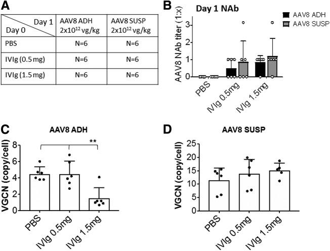 https://cdn.ncbi.nlm.nih.gov/pmc/blobs/7d60/6763963/dc8db6401d7c/fig-4.jpg