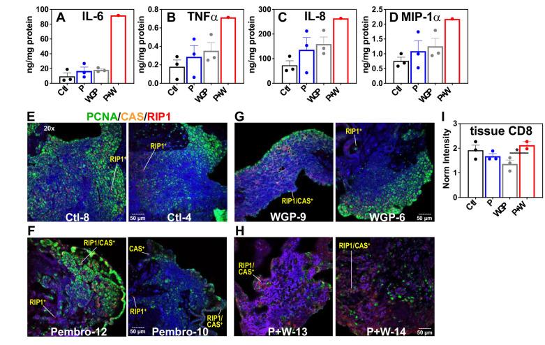 https://cdn.ncbi.nlm.nih.gov/pmc/blobs/7d60/8476122/579b881c6673/elife-69578-fig6.jpg