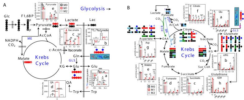 https://cdn.ncbi.nlm.nih.gov/pmc/blobs/7d60/8476122/62e5cf25e05e/elife-69578-fig2-figsupp1.jpg